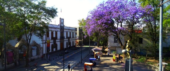 Pulido de Pisos Azcapotzalco