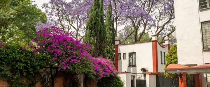 Pulido de pisos Coyoacán
